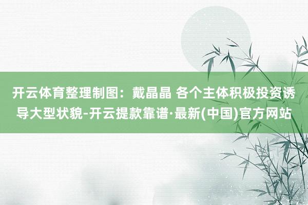 开云体育整理制图：戴晶晶 　　各个主体积极投资诱导大型状貌-开云提款靠谱·最新(中国)官方网站